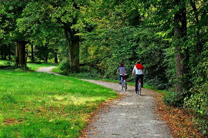 Dua orang sedang bersepeda santai di tengah pepohonan hijau